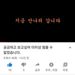 [강아지] 해외<b>입양</b> 궁금증을 풀어봤습니다