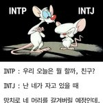 [mbti] mbti 짤 푼다. -<b>intj</b>편1-