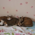 <b>사이</b>좋았던 시절