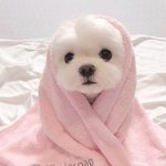 [댓글부탁해] <b>용산</b> 사는 사람 들어와봐