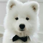 [드루와] 여기 혹시 <b>뉴이스트</b> 강동호 팬 있어??