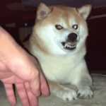 <b>sns</b> 하면서 느낀점