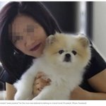 코로나19 17세 반려견 동물 첫 사망