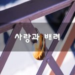 [너가봤으면] 사랑과 배려~