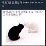 얘 관심 있는 거냐 시비 거는 거냐