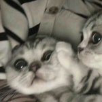 [19] s<b>기질</b>이 남다른....