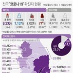 국내 확진자 <b>현황</b>