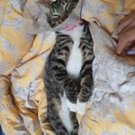 나 1일1식하는데 오늘 생일이다