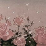 [19] <b>비엘</b> 추천좀
