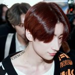 [빅톤] 빅톤영상올리는 유튭채널