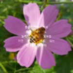 [드루와] <b>중딩때</b> 감성글귀랍시고 만든 거 볼래ㅠ?