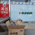 강아지 주인분 찾아가세요 !! (<b>울산</b>)