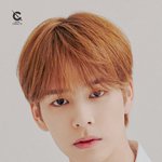 크래비티 멤버 프로필 다떳구나