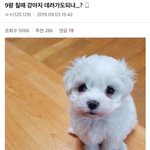 오픈채팅 질문 하나만 할게 ㅠㅠ