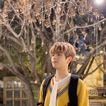 [<b>SKZ</b>] 학교종이 땡땡땡 댕댕이 왔따