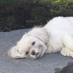 [드루와] 나 <b>isfp</b>인데 바꾸고싶어..