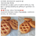 [19] <b>새내기</b> 추반해보자!