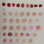 [댓글부탁해] ++이어쓰기 추가함) 블러셔 30개 <b>발색</b>해봄