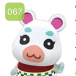 튀동숲 뽀<b>야미</b>