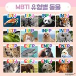 <b>MBTI</b> <b>유형</b>별 동물