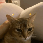 [강다니엘] [daniel.<b>k</b>.here] 인별<b>스토리</b>업!