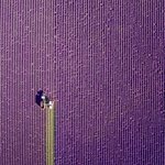 <b>드론</b>이 보여준 또다른 세상