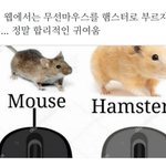 너네이거봤냐ㅜㅜ졸귀 야<b>오치</b>아님