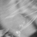 현재까지 예정되어 있는 <b>SM</b> 가수 플랜