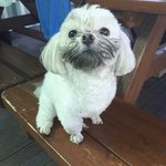 마스크 사러갈때