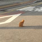 비수술 트젠이 <b>여탕</b>가는게 왜 안됨?