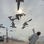 <b>수빈</b>이 갈매기한테 꼬깔콘 줄 때