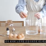 [댓글부탁해] 근데 <b>n</b>번방 사건 있잖아