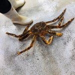 [이것좀봐줘] <b>가락시장</b>에서 너무 억울한일을 당했어요