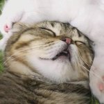 크림히어로즈 <b>채널</b> 뺏겼대