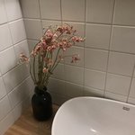 [댓글부탁해] 우리강아지 <b>분리</b>불안 어쩌냐진짜