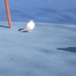 [댓글부탁해] 넷플릭스 추천해조ㅠㅠ