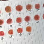 [드루와] 가을웜톤 립 <b>발색</b>+정보 가져왔엉!!