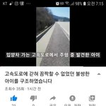 [강아지] 고속<b>도로</b>에서 구조한 아이