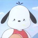 [댓글부탁해] <b>쌍테</b> 추반좀