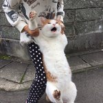 얘들아 짝남 이거 의미<b>부여</b> 오바임?ㅠㅠ