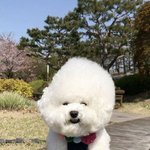 얘드라 <b>심신</b> 안정 하구가...(야오치x)