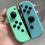 야ㅠㅠ <b>동숲</b> 에디션 왔다 ㅠㅠㅠ