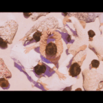 [댓글부탁해] 본진 칼<b>군무</b> 짤 풀자