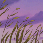 [댓글부탁해] 새하얀 살구빛 Just wanna <b>tell</b> you...