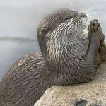 [NCT] 우리 기도하자