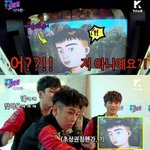 [모두드루와] 자기 본진 웃긴 짤 털자