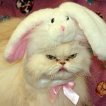 으으ㅏ아 까빠 개싫어;;