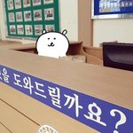 [댓글부탁해] 몰카 찍히면 어떻게 대처해야해?