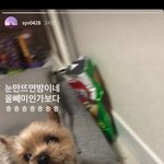 [비오브유] 200321 송유빈 인스타스토리 업로드