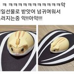 [드루와] 제발 한번만 들어와서 추반 좀 진짜 제발 급해서 그래...